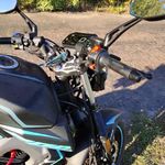 Musstang Region ST 2024