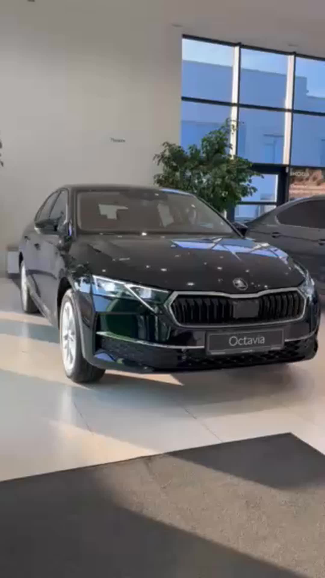 Skoda Octavia 2025